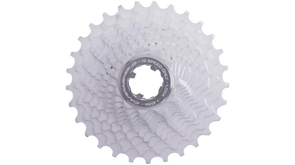 Campagnolo Chorus 12s  XL silber