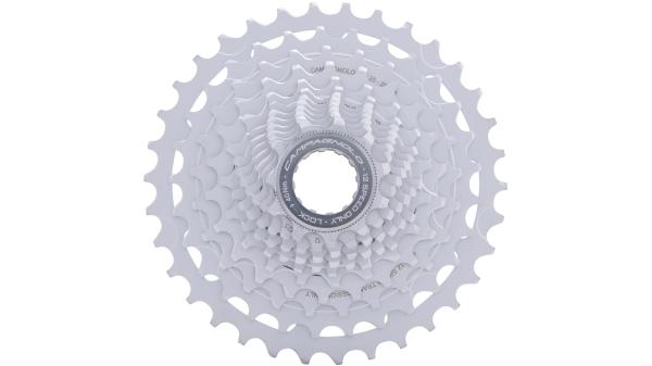 Campagnolo Chorus 12s  XL silber