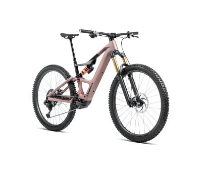 Orbea RISE LT M20 420W L Desert Rose - Carbon Raw (Matt) Produktbild 2