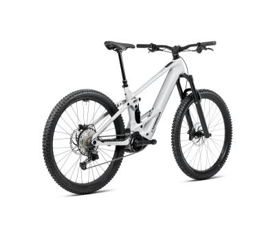 Orbea WILD ST H30 XL Halo Silver Gloss Produktbild 5