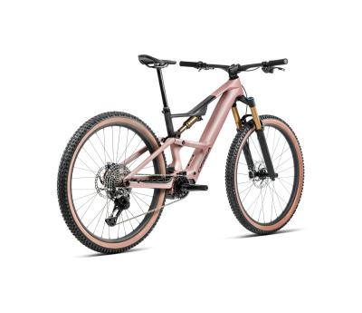 Orbea RISE SL M20 630W XL Desert Rose - Carbon Raw (Matt) Produktbild 7